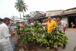 মোড়ে মোড়ে পশুর খাদ্যের পসরা