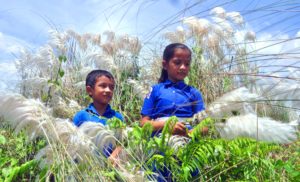 স্কুল ছুটির পর কাশবনে মিতালী। ছবি: বাচ্চু বড়ুয়া স্কুল ছুটির পর কাশবনে মিতালী। ছবি: বাচ্চু বড়ুয়া