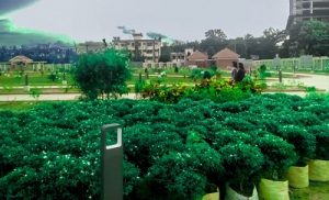সৌন্দর্যের দ্বার খুলছে শনিবার সৌন্দর্যের দ্বার খুলছে শনিবার