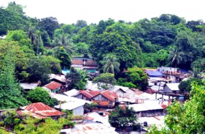 তারপরও বসতি তারপরও বসতি