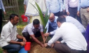 সার্কিট হাউসে বঙ্গমাতার গাছের চারা সার্কিট হাউসে বঙ্গমাতার গাছের চারা