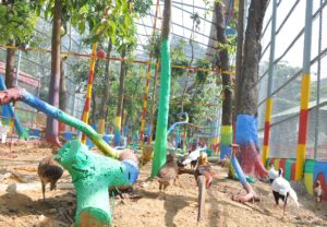 ২৮২ পাখির মিনি এভিয়ারি উদ্বোধন ২৮২ পাখির মিনি এভিয়ারি উদ্বোধন