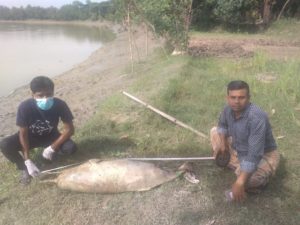 কেন থামছে না হালদার কান্না? কেন থামছে না হালদার কান্না?