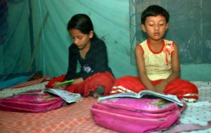 মশার উপদ্রব মশার উপদ্রব