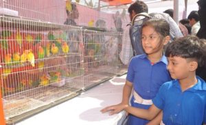 পোষা প্রাণীর মেলায় দর্শনার্থীর ভিড় পোষা প্রাণীর মেলায় দর্শনার্থীর ভিড়