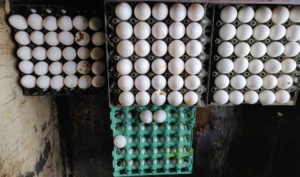 ভেজালের দায়ে বনফুল-মধুবনকে ৬ লাখ টাকা জরিমানা