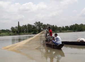 হালদায় নমুনা ডিম ছাড়ল মা-মাছ
