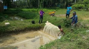হালদার ডিমের পরিমাণ নিয়ে ধুম্রজাল
