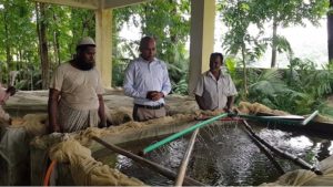 হালদার ডিমের পরিমাণ নিয়ে ধুম্রজাল