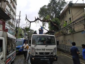 ঝড়ো হাওয়ায় উপড়ে পড়েছে গাছ