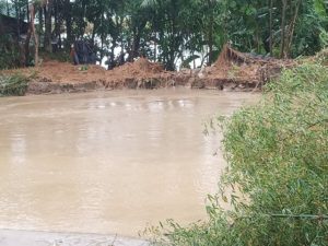 শ্রীমতি খাল ভাঙনে প্লাবিত ১০ গ্রাম