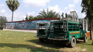 পার্কটি এখন গো-চারণভূমি পার্কটি এখন গো-চারণভূমি