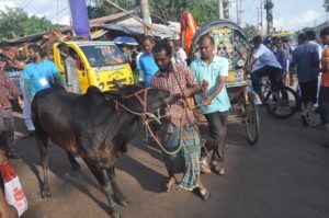 উত্তরবঙ্গের গরুতে জমজমাট স্টিলমিল বাজার