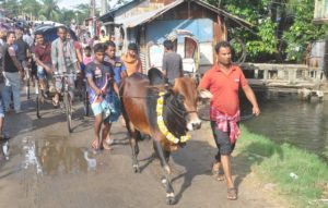 উত্তরবঙ্গের গরুতে জমজমাট স্টিলমিল বাজার