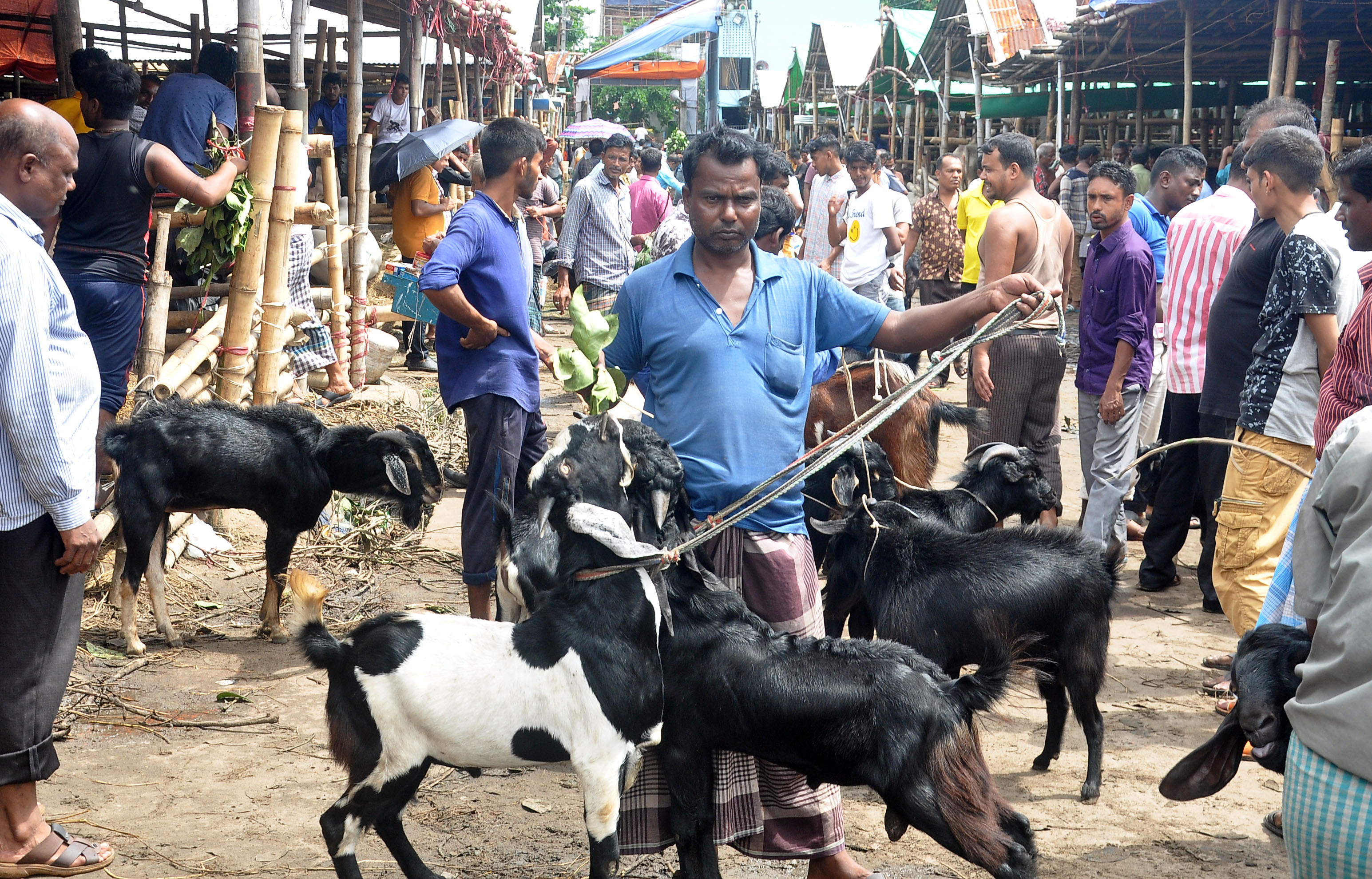 দাম কমেছে পাঁঠার