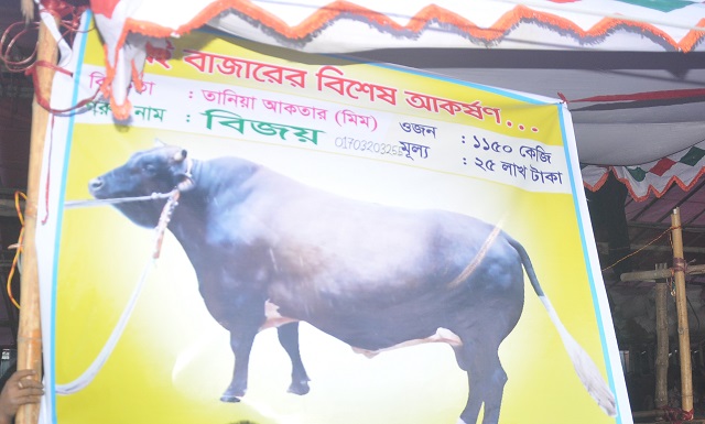 বিজয় খায় কলা-আপেল, দাম ২৫ লাখ! বিজয় খায় কলা-আপেল, দাম ২৫ লাখ!