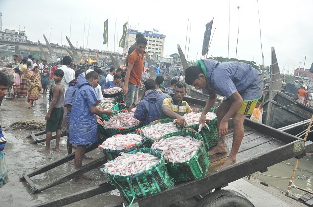 ফিশারীঘাটে লইট্যার বিকিকিনি
