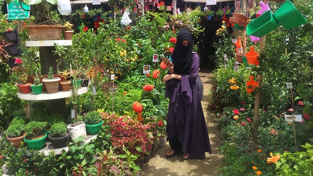 বৃক্ষপ্রেমীদের এক বিকেল