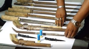 ওরাও ১১ জন, তবে দুর্ধর্ষ ডাকাত