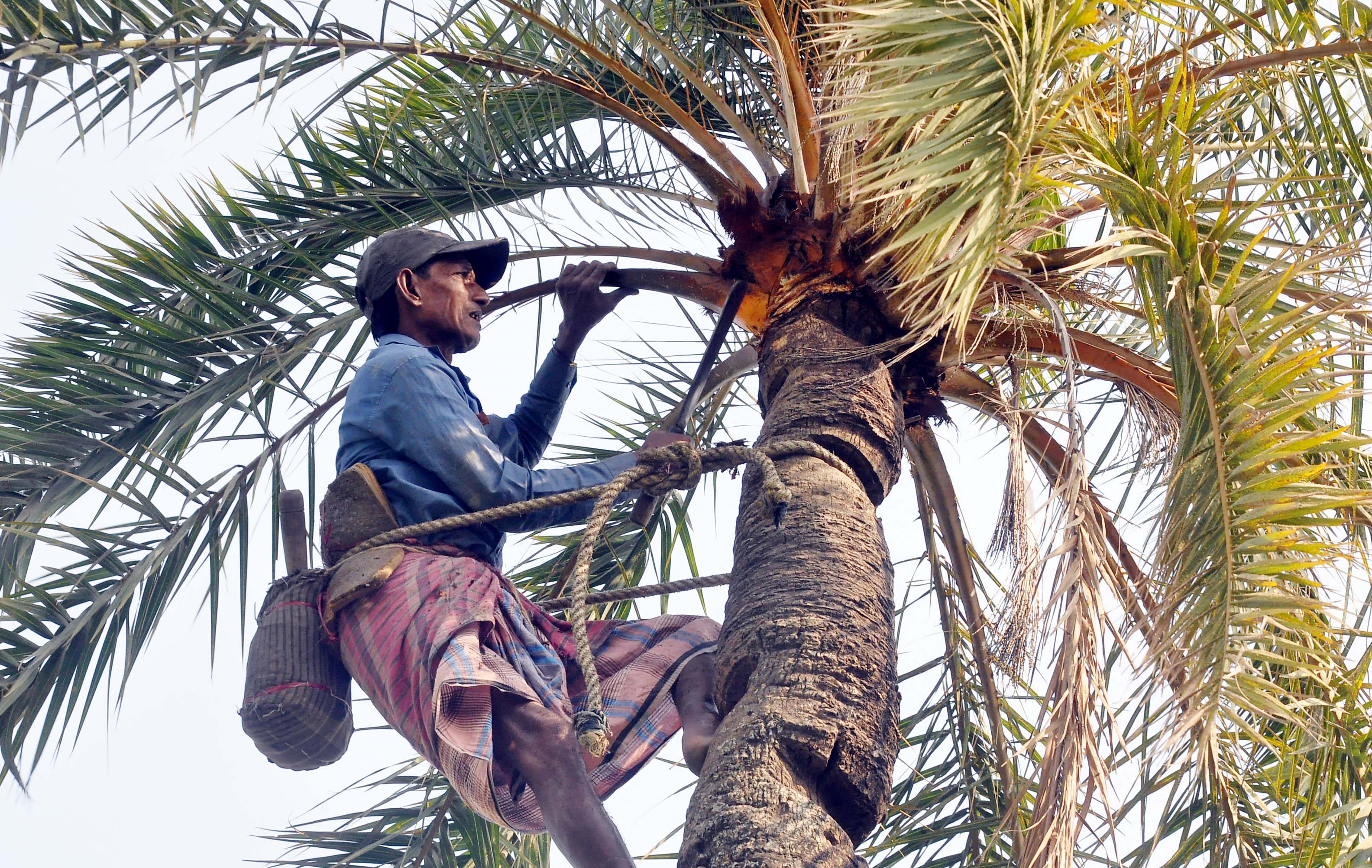 খেজুরের রসে মিষ্টি সকাল