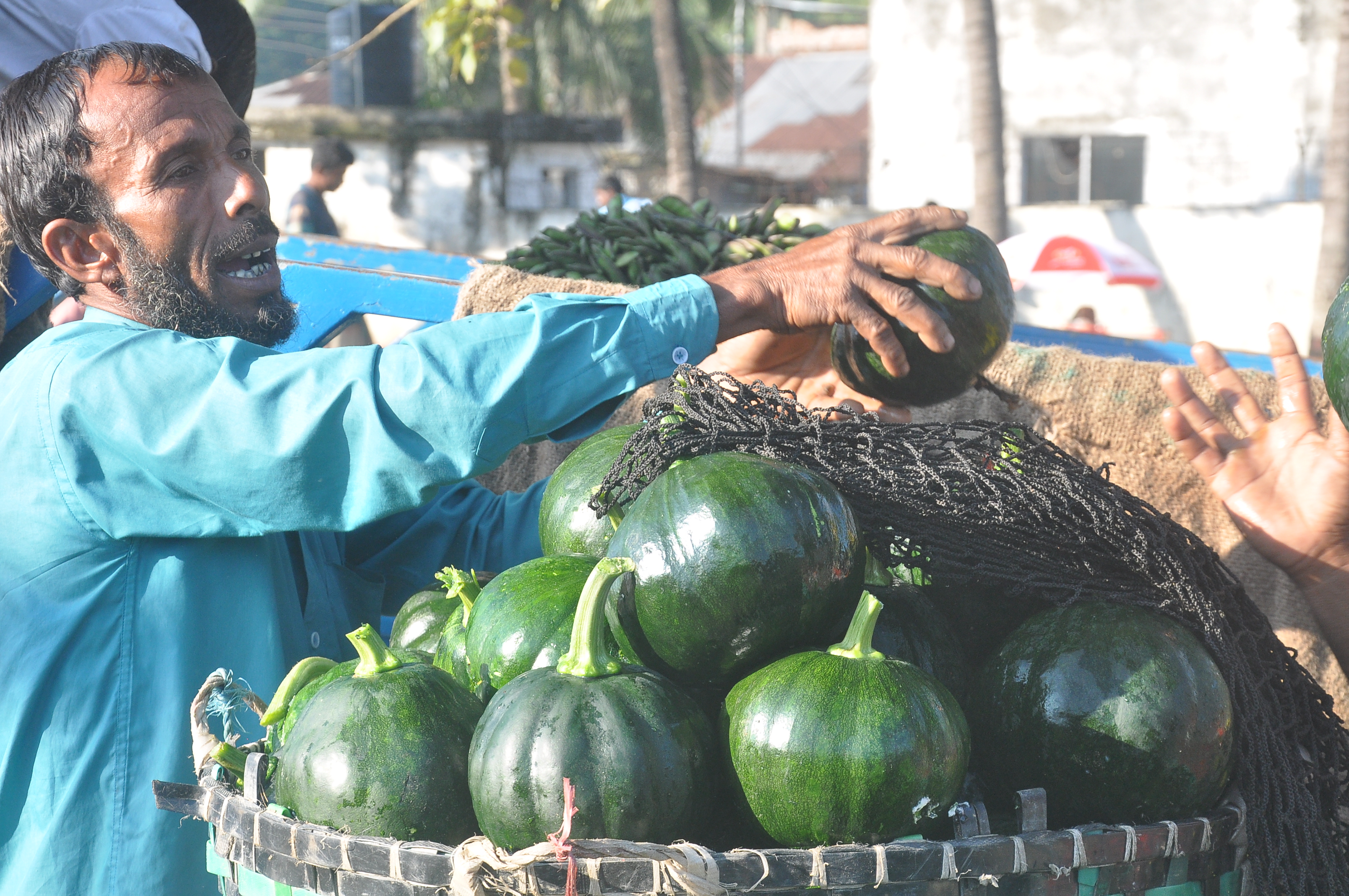 এগিয়ে দোহাজারীর মিষ্টি কুমড়া