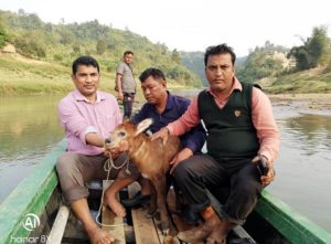 আলীকদমে উদ্ধার হলো বিরল প্রজাতির বন্য ছাগল