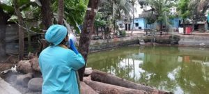 দামপাড়ায় করোনায় আক্রান্তে পটিয়ায় লকডাউন দামপাড়ায় করোনায় আক্রান্তে পটিয়ায় লকডাউন