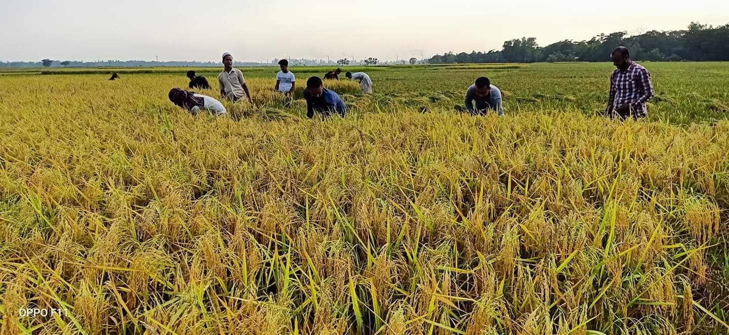 করোনায় কৃষকের পাশে দক্ষিণ জেলা ছাত্রলীগ নেতা মহসীন