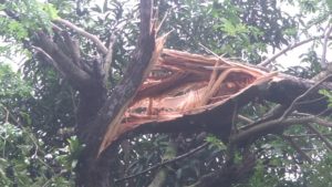 লক্ষ্মীপুরে হঠাৎ ঝড়ে লণ্ডভণ্ড শতাধিক ঘরবাড়ি