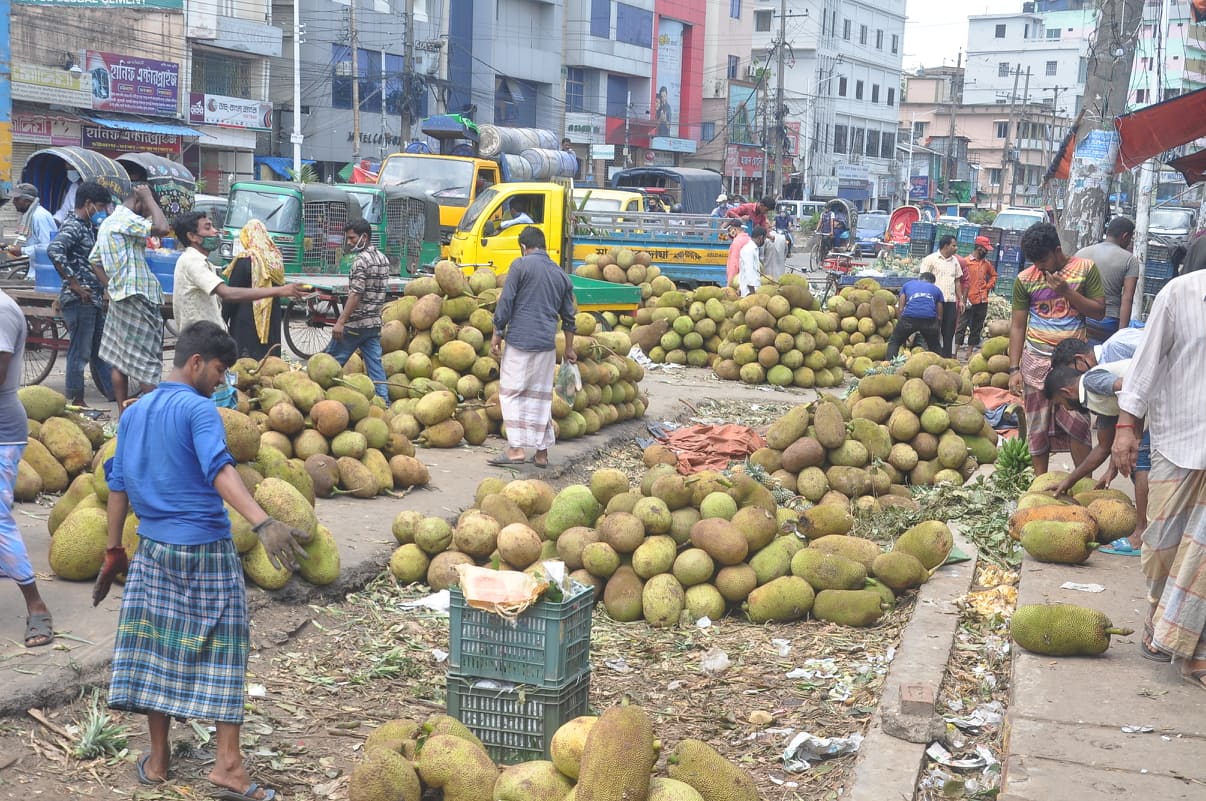 দামে তেতো কাঁঠালের মধুরস