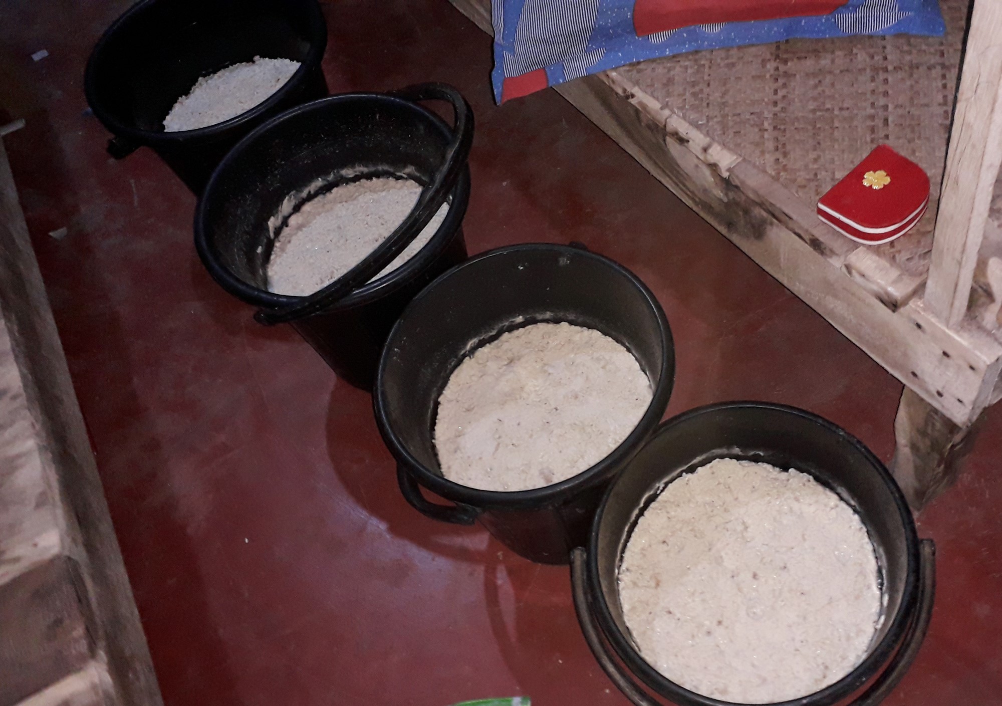 বাসা ভাড়া নিয়ে মদ তৈরি করতো নি মে উ