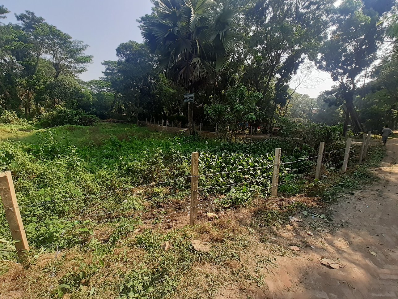 বোয়ালখালীতে জমি দখলের অভিযোগ, সাংবাদিককে হত্যার হুমকি