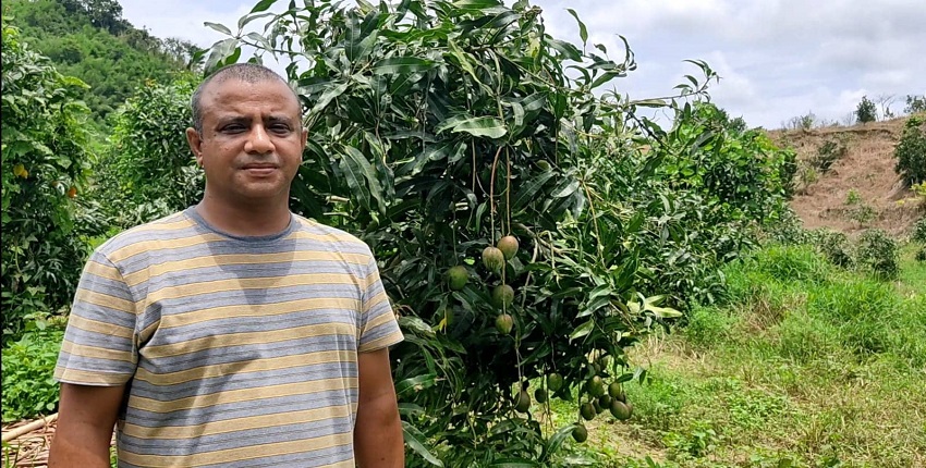 দূর্গম পাহাড়ে,টিলায়,বিদেশী, ফলের বাগান1